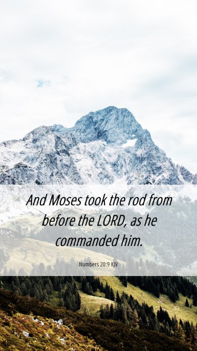 Picture 06 - Numbers 20:9 KJV Mobile Phone Wallpaper - And Moses took the rod from before the LORD, as - Mobile Bible Verse Wallpaper