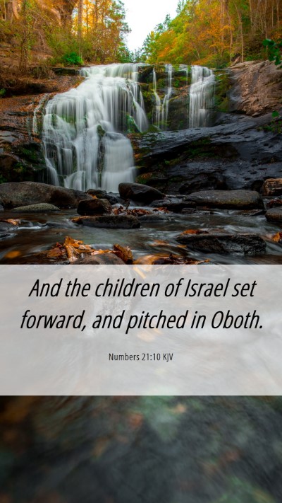 Picture 06 - Numbers 21:10 KJV Mobile Phone Wallpaper - And the children of Israel set forward, and - Mobile Bible Verse Wallpaper