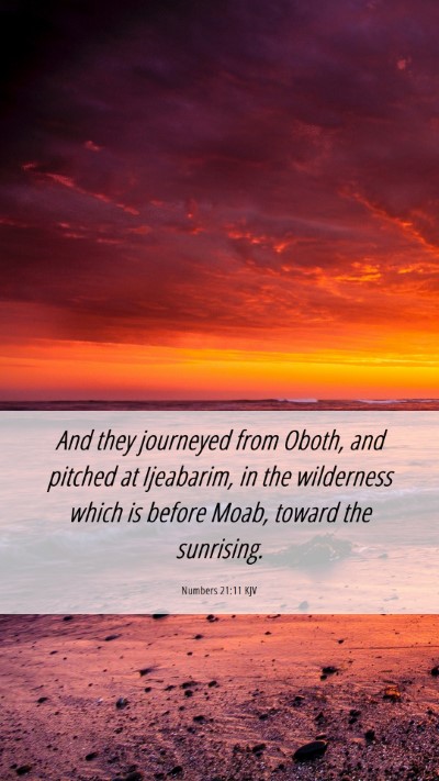 Picture 06 - Numbers 21:11 KJV Mobile Phone Wallpaper - And they journeyed from Oboth, and pitched at - Mobile Bible Verse Wallpaper
