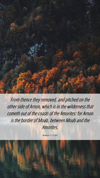 Picture 06 - Numbers 21:13 KJV Mobile Phone Wallpaper - From thence they removed, and pitched on the - Mobile Bible Verse Wallpaper