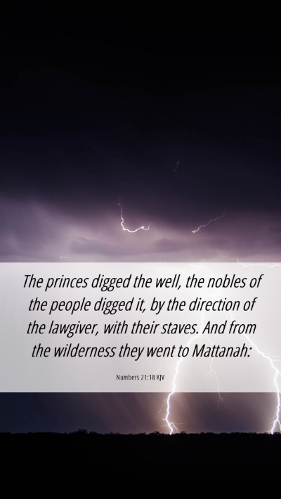 Picture 06 - Numbers 21:18 KJV Mobile Phone Wallpaper - The princes digged the well, the nobles of the - Mobile Bible Verse Wallpaper