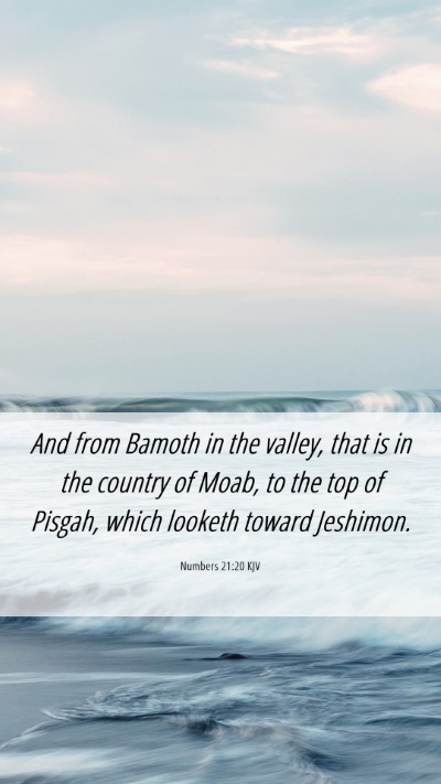 Picture 06 - Numbers 21:20 KJV Mobile Phone Wallpaper - And from Bamoth in the valley, that is in the - Mobile Bible Verse Wallpaper