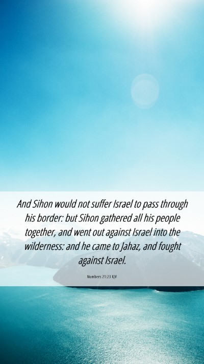 Picture 06 - Numbers 21:23 KJV Mobile Phone Wallpaper - And Sihon would not suffer Israel to pass through - Mobile Bible Verse Wallpaper