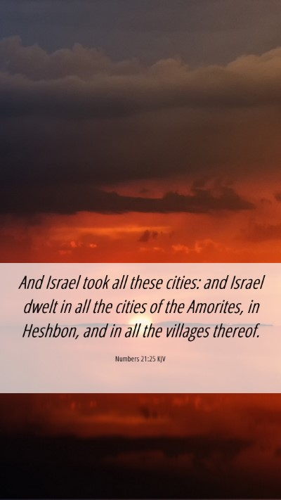 Picture 06 - Numbers 21:25 KJV Mobile Phone Wallpaper - And Israel took all these cities: and Israel - Mobile Bible Verse Wallpaper