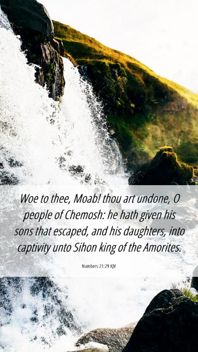 Picture 06 - Numbers 21:29 KJV Mobile Phone Wallpaper - Woe to thee, Moab! thou art undone, O people of - Mobile Bible Verse Wallpaper