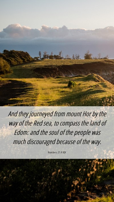Picture 06 - Numbers 21:4 KJV Mobile Phone Wallpaper - And they journeyed from mount Hor by the way of - Mobile Bible Verse Wallpaper