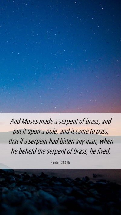 Picture 06 - Numbers 21:9 KJV Mobile Phone Wallpaper - And Moses made a serpent of brass, and put it - Mobile Bible Verse Wallpaper