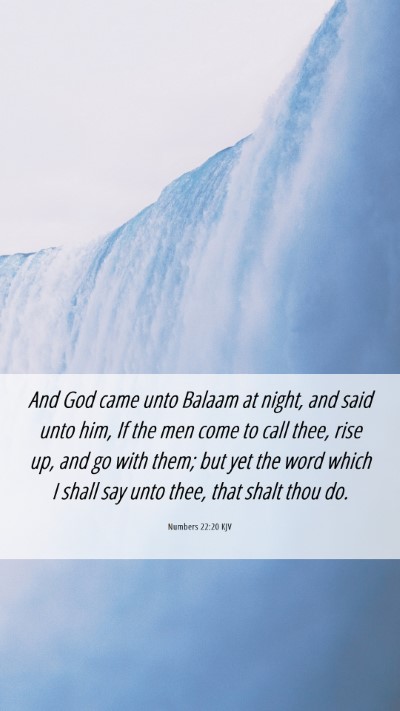 Picture 06 - Numbers 22:20 KJV Mobile Phone Wallpaper - And God came unto Balaam at night, and said unto - Mobile Bible Verse Wallpaper