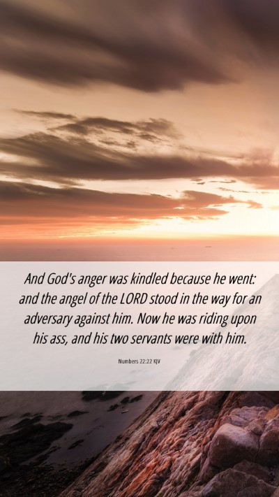 Picture 06 - Numbers 22:22 KJV Mobile Phone Wallpaper - And God's anger was kindled because he went: and - Mobile Bible Verse Wallpaper