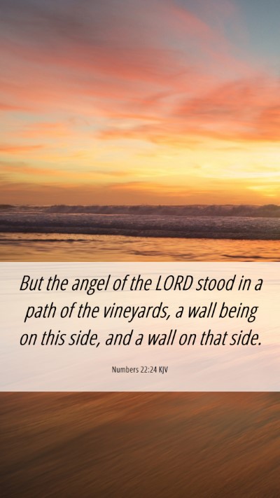 Picture 06 - Numbers 22:24 KJV Mobile Phone Wallpaper - But the angel of the LORD stood in a path of the - Mobile Bible Verse Wallpaper