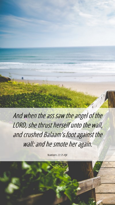 Picture 06 - Numbers 22:25 KJV Mobile Phone Wallpaper - And when the ass saw the angel of the LORD, she - Mobile Bible Verse Wallpaper