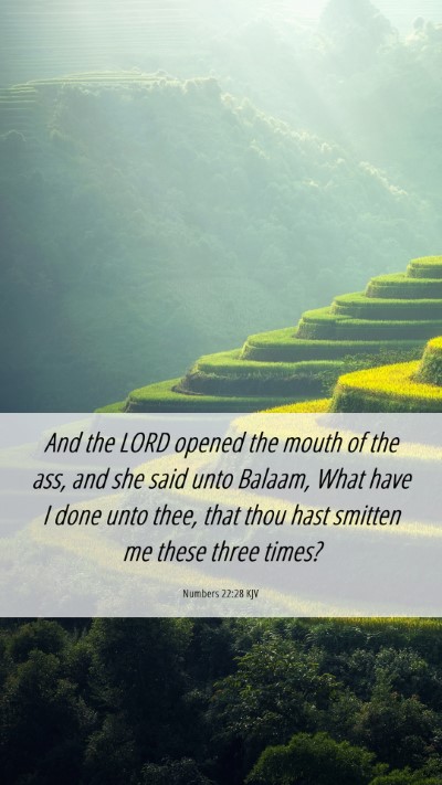 Picture 06 - Numbers 22:28 KJV Mobile Phone Wallpaper - And the LORD opened the mouth of the ass, and she - Mobile Bible Verse Wallpaper