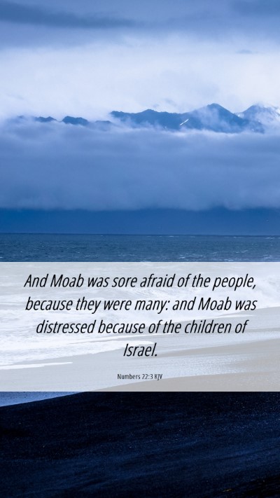 Picture 06 - Numbers 22:3 KJV Mobile Phone Wallpaper - And Moab was sore afraid of the people, because - Mobile Bible Verse Wallpaper
