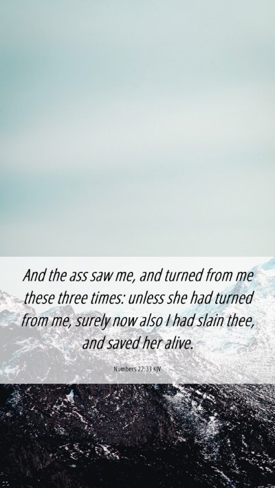 Picture 06 - Numbers 22:33 KJV Mobile Phone Wallpaper - And the ass saw me, and turned from me these - Mobile Bible Verse Wallpaper