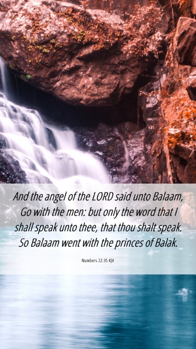 Picture 06 - Numbers 22:35 KJV Mobile Phone Wallpaper - And the angel of the LORD said unto Balaam, Go - Mobile Bible Verse Wallpaper