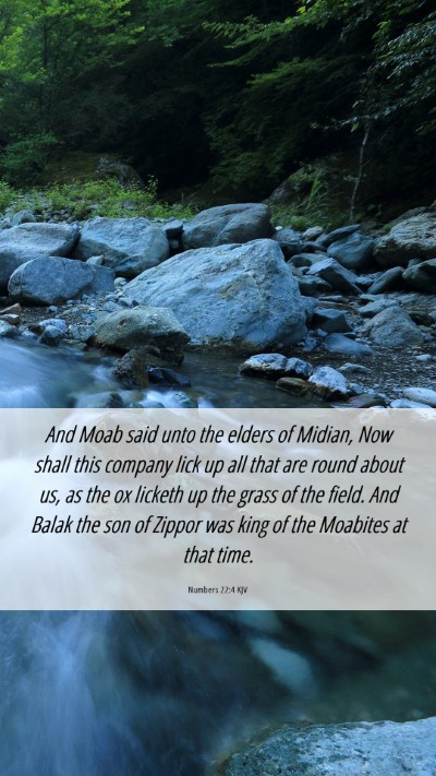 Picture 06 - Numbers 22:4 KJV Mobile Phone Wallpaper - And Moab said unto the elders of Midian, Now - Mobile Bible Verse Wallpaper
