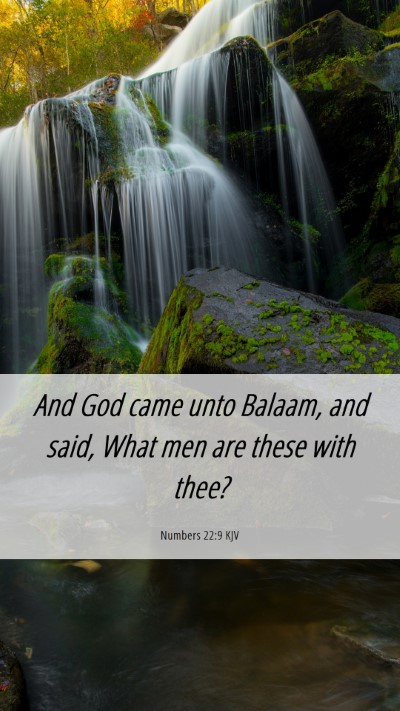 Picture 06 - Numbers 22:9 KJV Mobile Phone Wallpaper - And God came unto Balaam, and said, What men are - Mobile Bible Verse Wallpaper