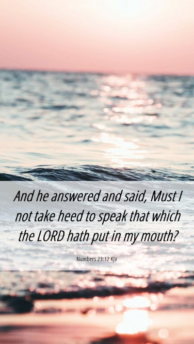Picture 06 - Numbers 23:12 KJV Mobile Phone Wallpaper - And he answered and said, Must I not take heed to - Mobile Bible Verse Wallpaper