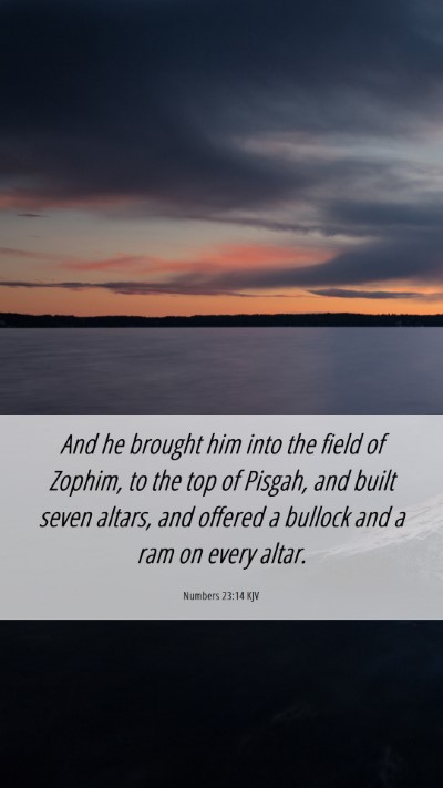 Picture 06 - Numbers 23:14 KJV Mobile Phone Wallpaper - And he brought him into the field of Zophim, to - Mobile Bible Verse Wallpaper