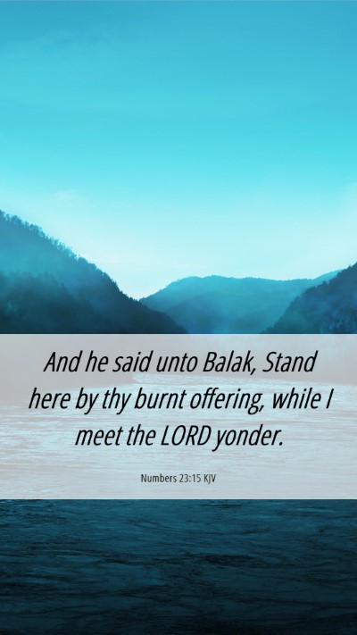 Picture 06 - Numbers 23:15 KJV Mobile Phone Wallpaper - And he said unto Balak, Stand here by thy burnt - Mobile Bible Verse Wallpaper
