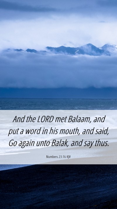 Picture 06 - Numbers 23:16 KJV Mobile Phone Wallpaper - And the LORD met Balaam, and put a word in his - Mobile Bible Verse Wallpaper