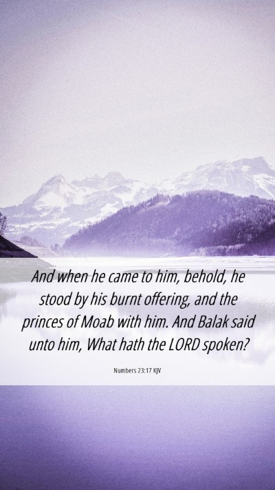 Picture 06 - Numbers 23:17 KJV Mobile Phone Wallpaper - And when he came to him, behold, he stood by his - Mobile Bible Verse Wallpaper