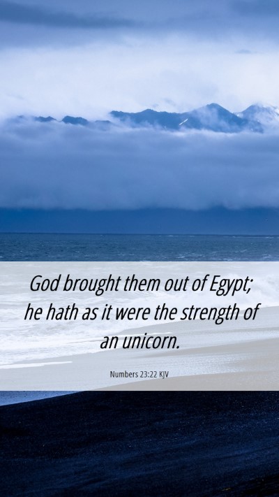 Picture 06 - Numbers 23:22 KJV Mobile Phone Wallpaper - God brought them out of Egypt; he hath as it were - Mobile Bible Verse Wallpaper
