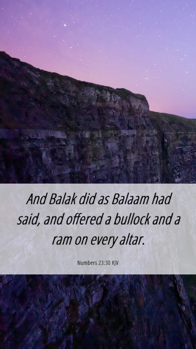 Picture 06 - Numbers 23:30 KJV Mobile Phone Wallpaper - And Balak did as Balaam had said, and offered a - Mobile Bible Verse Wallpaper
