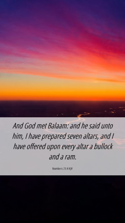 Picture 06 - Numbers 23:4 KJV Mobile Phone Wallpaper - And God met Balaam: and he said unto him, I have - Mobile Bible Verse Wallpaper