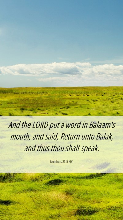 Picture 06 - Numbers 23:5 KJV Mobile Phone Wallpaper - And the LORD put a word in Balaam's mouth, and - Mobile Bible Verse Wallpaper