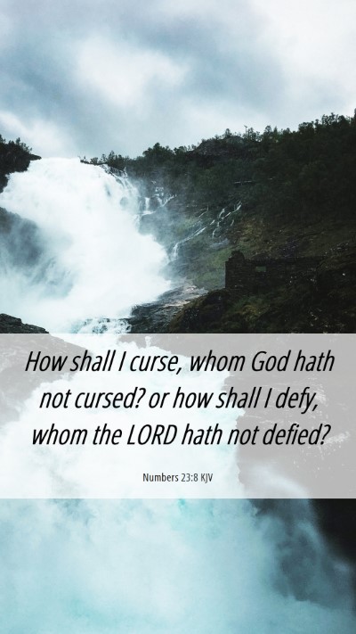 Picture 06 - Numbers 23:8 KJV Mobile Phone Wallpaper - How shall I curse, whom God hath not cursed? or - Mobile Bible Verse Wallpaper