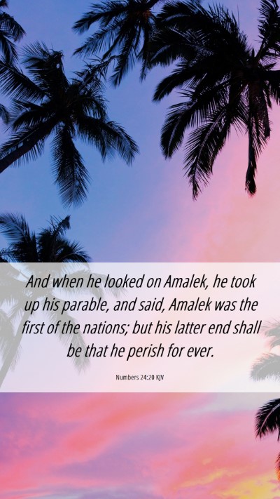 Picture 06 - Numbers 24:20 KJV Mobile Phone Wallpaper - And when he looked on Amalek, he took up his - Mobile Bible Verse Wallpaper