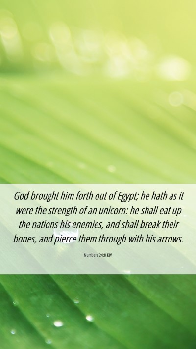 Picture 06 - Numbers 24:8 KJV Mobile Phone Wallpaper - God brought him forth out of Egypt; he hath as it - Mobile Bible Verse Wallpaper