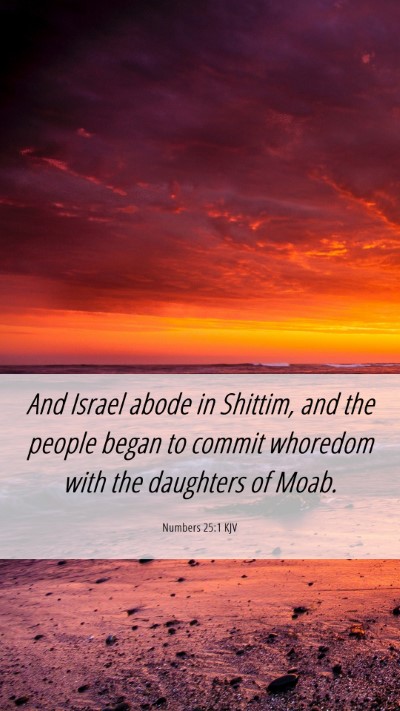 Picture 06 - Numbers 25:1 KJV Mobile Phone Wallpaper - And Israel abode in Shittim, and the people began - Mobile Bible Verse Wallpaper
