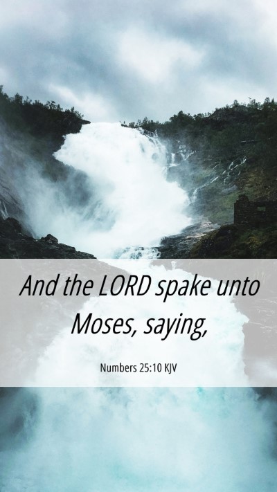 Picture 06 - Numbers 25:10 KJV Mobile Phone Wallpaper - And the LORD spake unto Moses, - Mobile Bible Verse Wallpaper