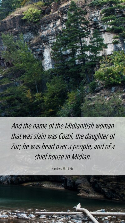 Picture 06 - Numbers 25:15 KJV Mobile Phone Wallpaper - And the name of the Midianitish woman that was - Mobile Bible Verse Wallpaper