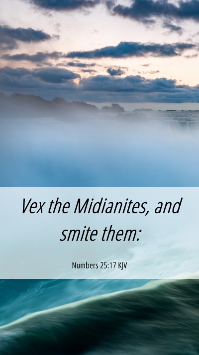 Picture 06 - Numbers 25:17 KJV Mobile Phone Wallpaper - Vex the Midianites, and smite - Mobile Bible Verse Wallpaper