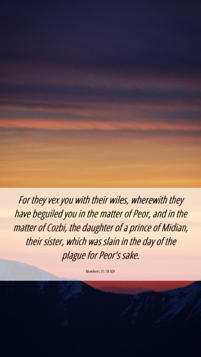 Picture 06 - Numbers 25:18 KJV Mobile Phone Wallpaper - For they vex you with their wiles, wherewith they - Mobile Bible Verse Wallpaper