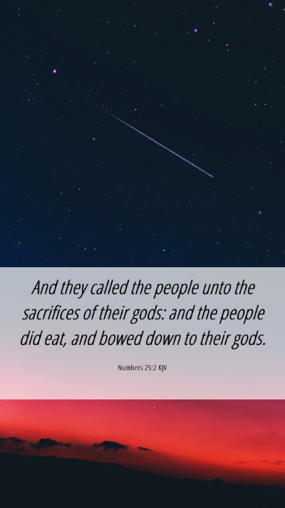 Picture 06 - Numbers 25:2 KJV Mobile Phone Wallpaper - And they called the people unto the sacrifices of - Mobile Bible Verse Wallpaper