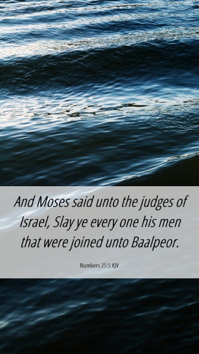 Picture 06 - Numbers 25:5 KJV Mobile Phone Wallpaper - And Moses said unto the judges of Israel, Slay ye - Mobile Bible Verse Wallpaper