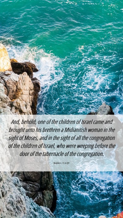 Picture 06 - Numbers 25:6 KJV Mobile Phone Wallpaper - And, behold, one of the children of Israel came - Mobile Bible Verse Wallpaper