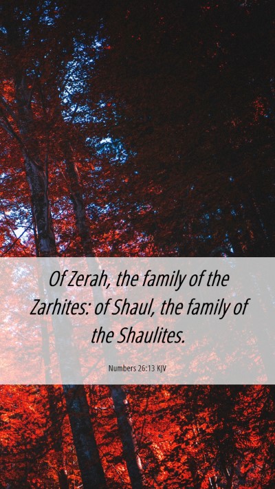 Picture 06 - Numbers 26:13 KJV Mobile Phone Wallpaper - Of Zerah, the family of the Zarhites: of Shaul, - Mobile Bible Verse Wallpaper