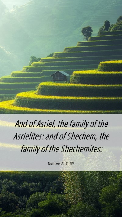 Picture 06 - Numbers 26:31 KJV Mobile Phone Wallpaper - And of Asriel, the family of the Asrielites: and - Mobile Bible Verse Wallpaper