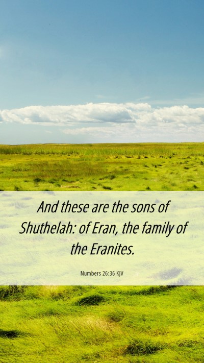 Picture 06 - Numbers 26:36 KJV Mobile Phone Wallpaper - And these are the sons of Shuthelah: of Eran, the - Mobile Bible Verse Wallpaper