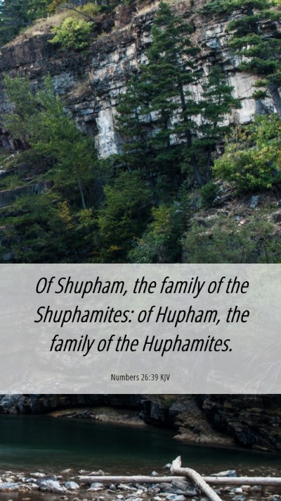 Picture 06 - Numbers 26:39 KJV Mobile Phone Wallpaper - Of Shupham, the family of the Shuphamites: of - Mobile Bible Verse Wallpaper