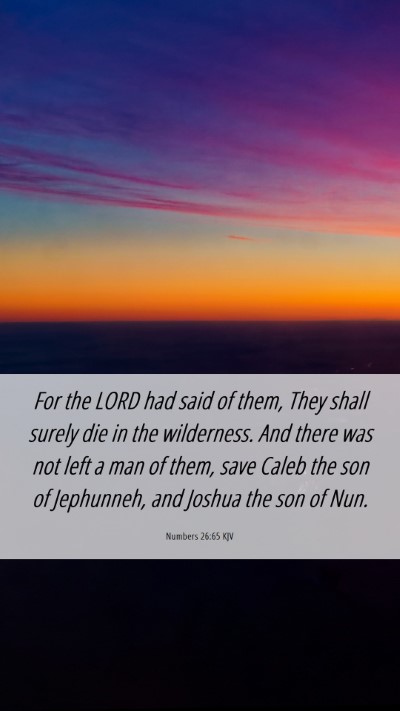 Picture 06 - Numbers 26:65 KJV Mobile Phone Wallpaper - For the LORD had said of them, They shall surely - Mobile Bible Verse Wallpaper