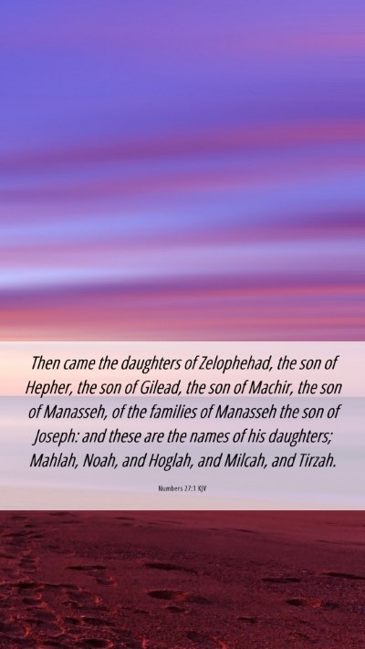 Picture 06 - Numbers 27:1 KJV Mobile Phone Wallpaper - Then came the daughters of Zelophehad, the son of - Mobile Bible Verse Wallpaper