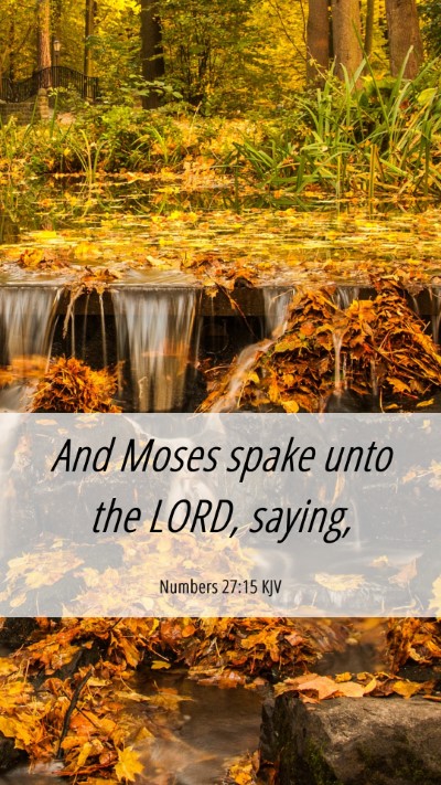 Picture 06 - Numbers 27:15 KJV Mobile Phone Wallpaper - And Moses spake unto the LORD, - Mobile Bible Verse Wallpaper