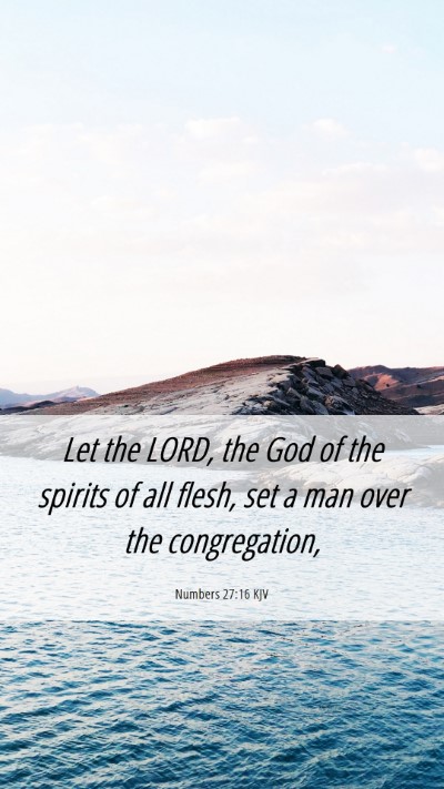 Picture 06 - Numbers 27:16 KJV Mobile Phone Wallpaper - Let the LORD, the God of the spirits of all - Mobile Bible Verse Wallpaper