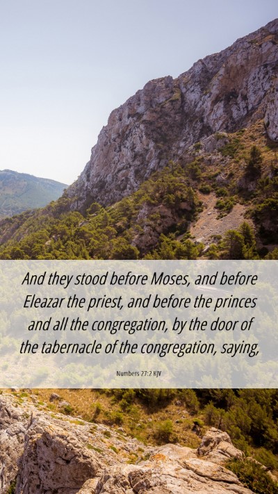 Picture 06 - Numbers 27:2 KJV Mobile Phone Wallpaper - And they stood before Moses, and before Eleazar - Mobile Bible Verse Wallpaper